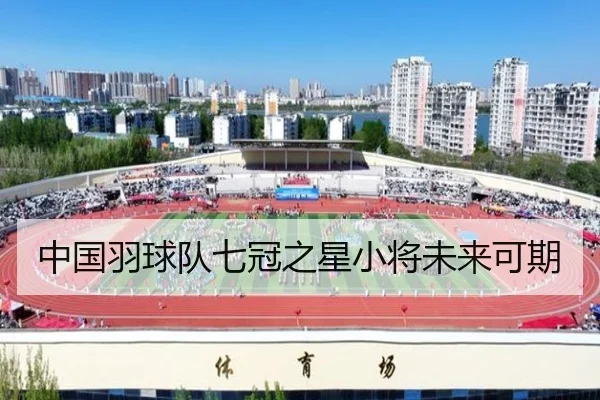 中国羽球队七冠之星小将未来可期